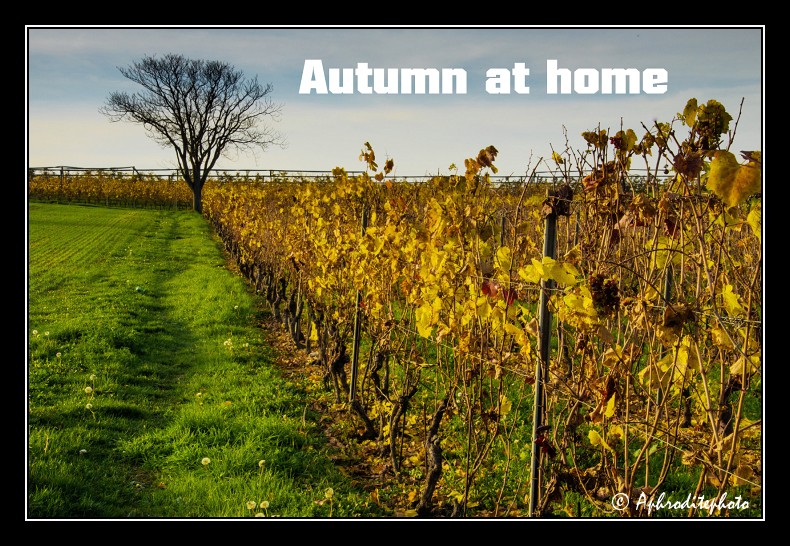 Autumn At Home